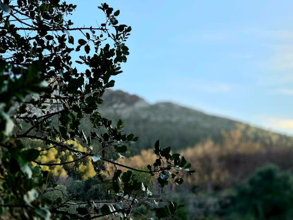 Vegan yoga course in Spain