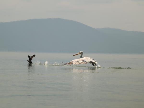 North Macedonia small group activity holiday