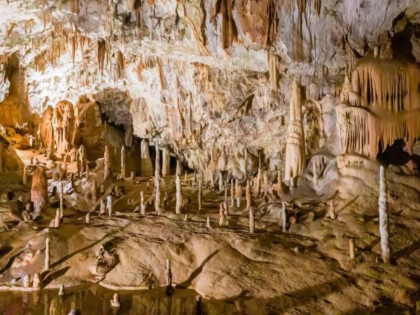 Slovenia electric self drive holiday