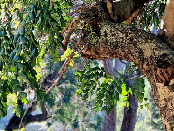 Yoga and walking retreats in Spain