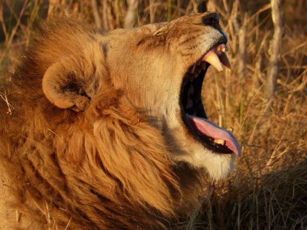 Kenya safari holiday, the Northern Frontier