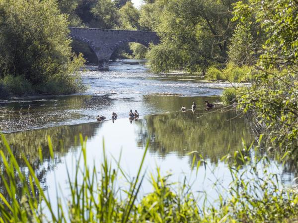 Ireland luxury glamping holiday, Co Carlow