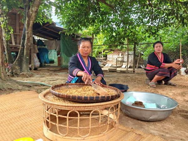 Laos family tour 
