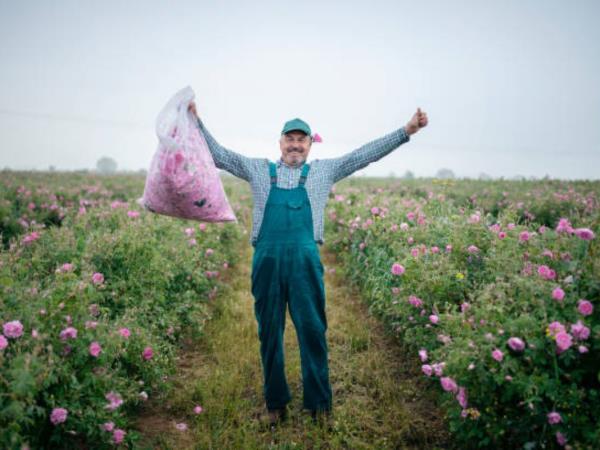 Bulgaria in bloom, lavender and roses holiday