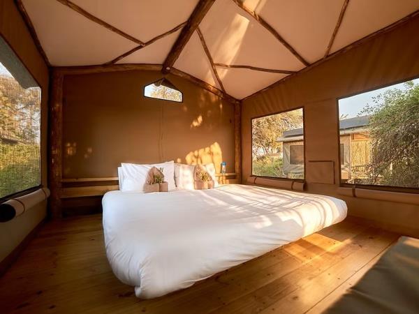 Botswana Northern highlights tour