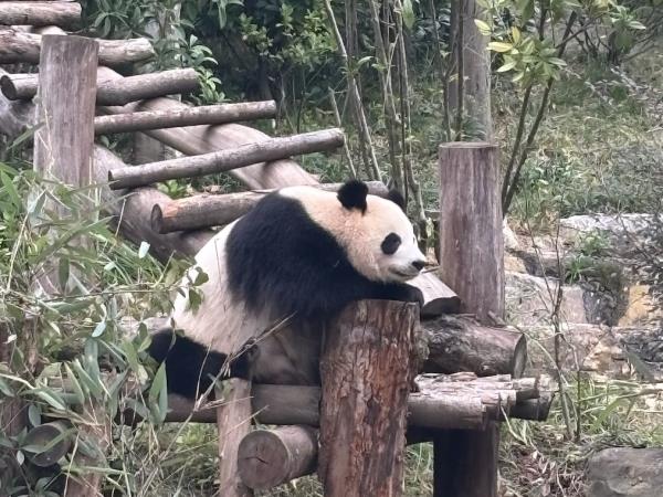 Hong Kong to Chengdu tour