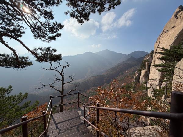 South Korea and Japan small group tour