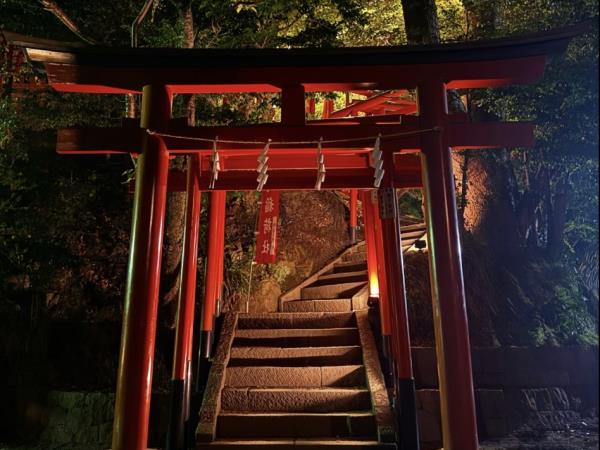 Budget Japan tour
