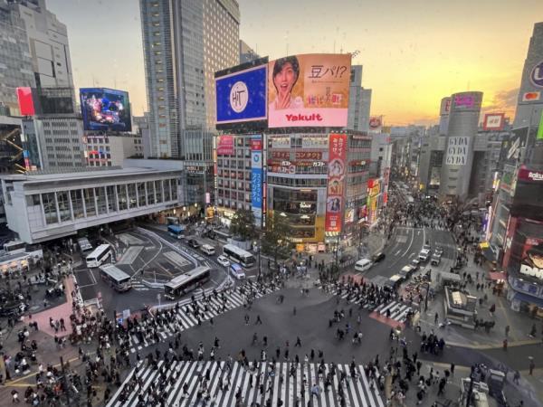 Japan anime holiday, 7 days