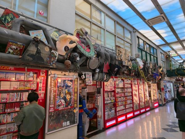 Japan anime holiday, 7 days