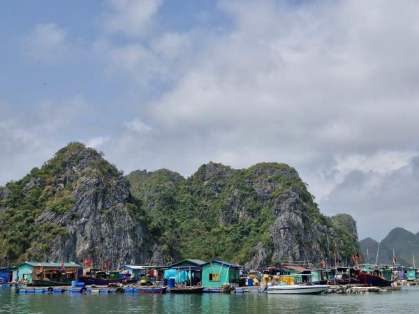 Vietnam family 13 day tour