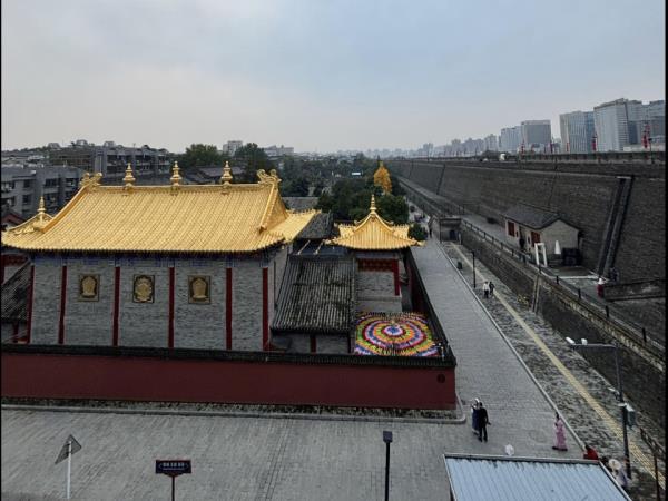 Panda volunteering holiday in China