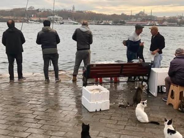 Turkey highlights holiday, 10 days
