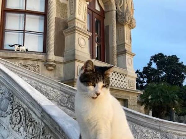 Turkey highlights holiday, 10 days