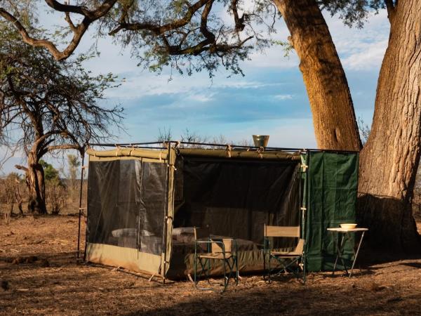 Zimbabwe authentic walking Safari