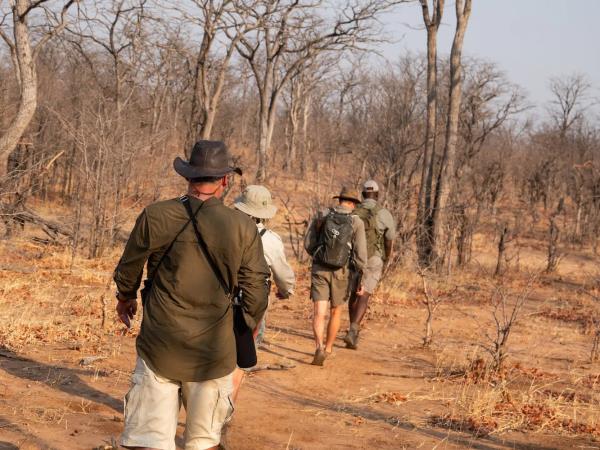Zimbabwe authentic walking Safari
