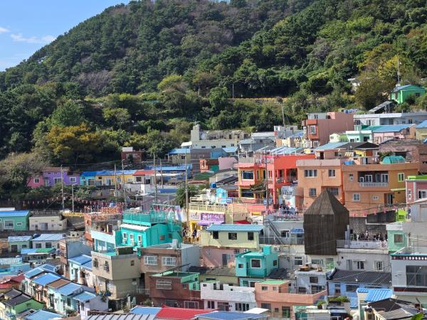 Korea small group tour