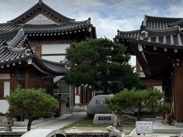 South Korea family tour, 9 days