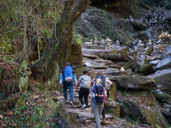 Nepal 19 day tour,culture, wildlife & Annapurna
