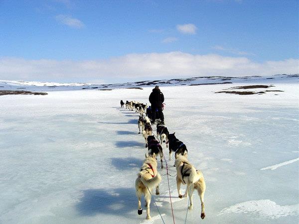 Luxury Arctic holiday with Northern Lights