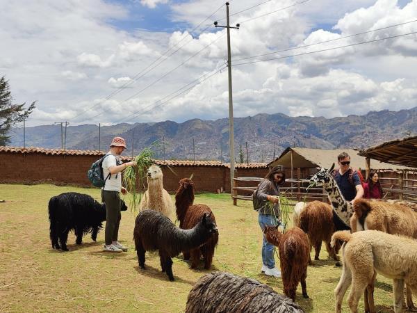 South America 4 week tour