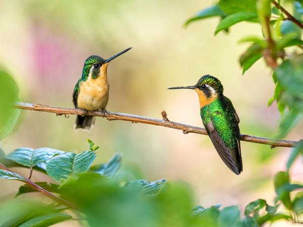 Panama and Costa Rica slow travel holiday