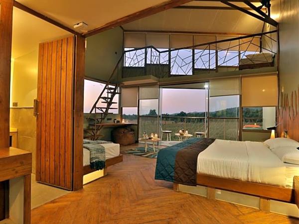 Best of Central India wildlfe tour 