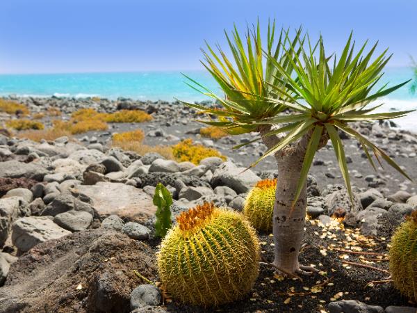 Lanzarote walking holiday