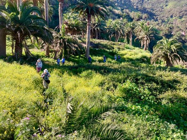 La Gomera walking holiday