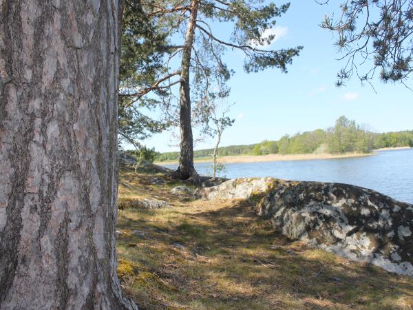 Stockholm summer holiday