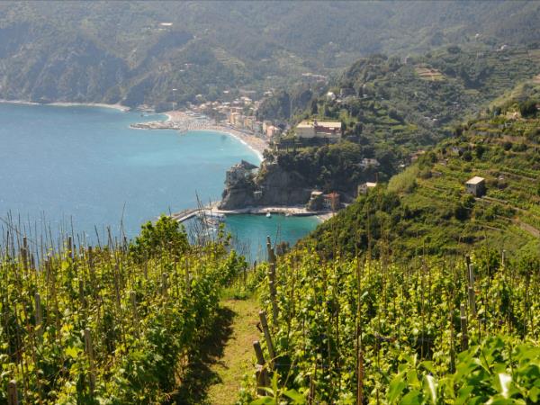Cinque Terre coastal walking holiday
