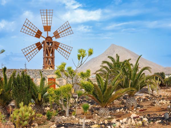 Fuerteventura & Lanzarote walking holiday