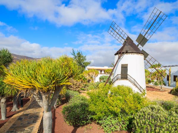Fuerteventura & Lanzarote walking holiday