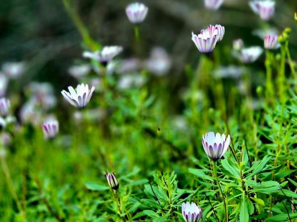 Yoga and walking retreats in Spain