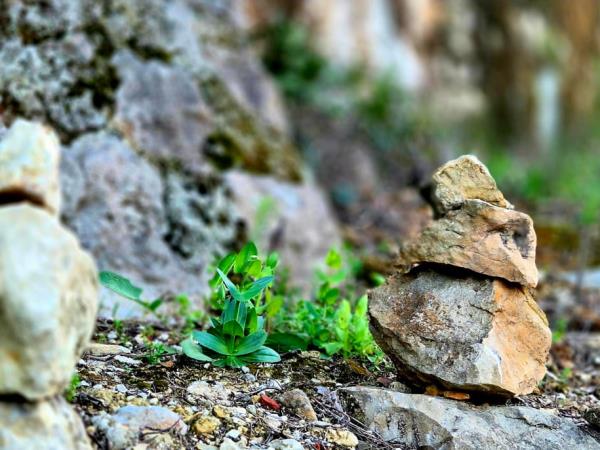 Yoga and walking retreats in Spain