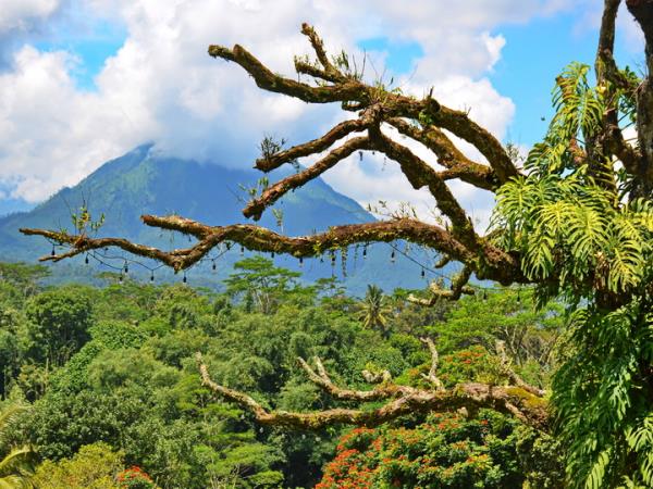 Java to Bali 12 day tour