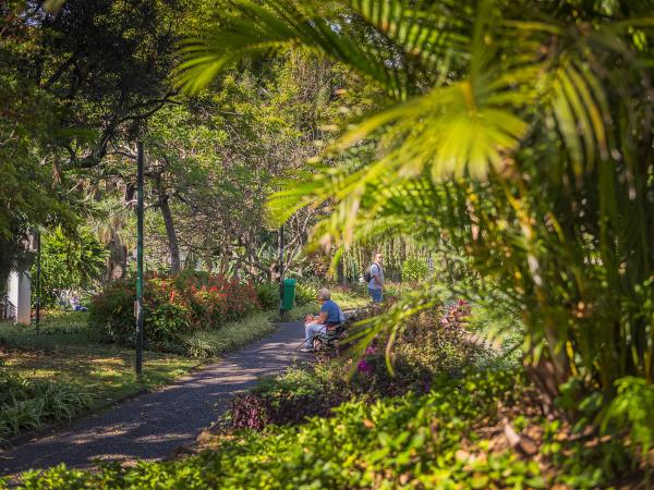 Madeira levada trails & waterfalls adventure holiday