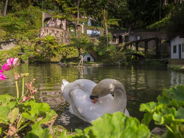 Madeira levada trails & waterfalls adventure holiday