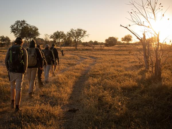 Okavango Delta exclusive group holiday
