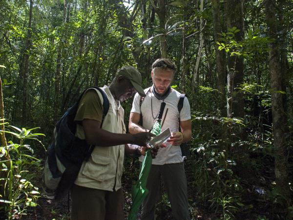 Masoala Peninsula wildlife holiday, Madagascar