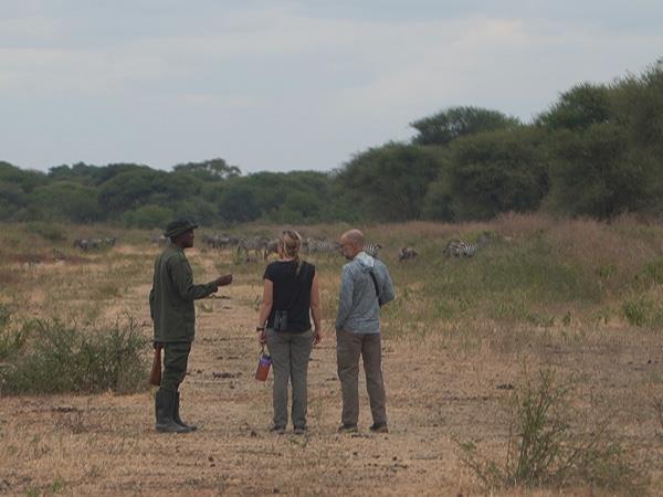 Serengeti migration safari in Tanzania
