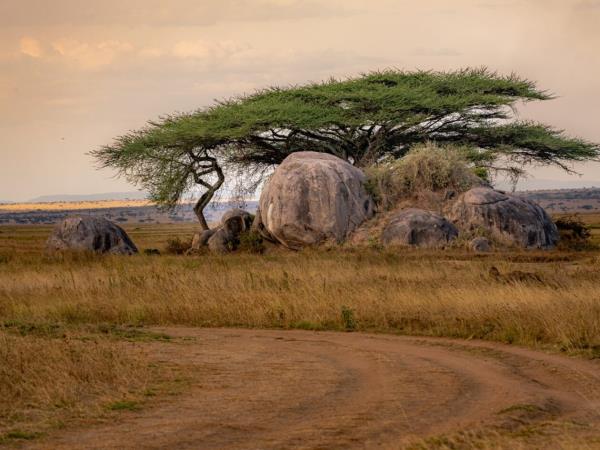 Tanzania culture and community holiday for families