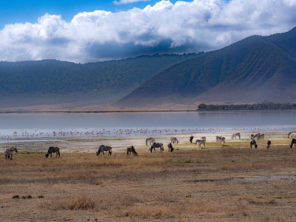 Tanzania culture and community holiday for families