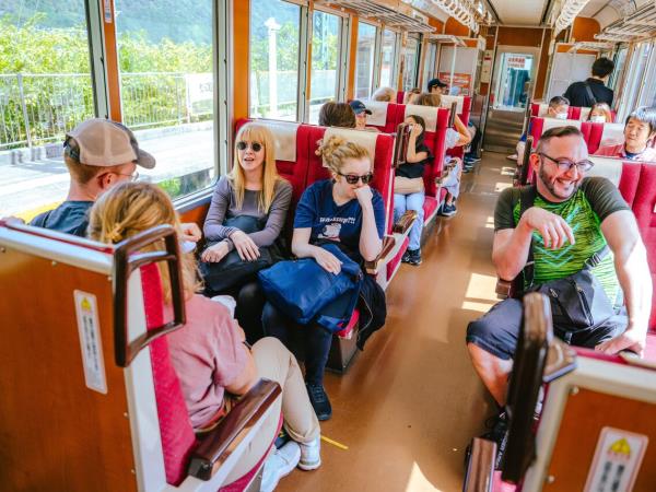 Japan must see small group tour