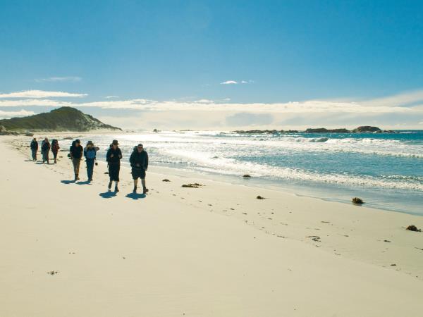 Tasmania walking holiday, self guided