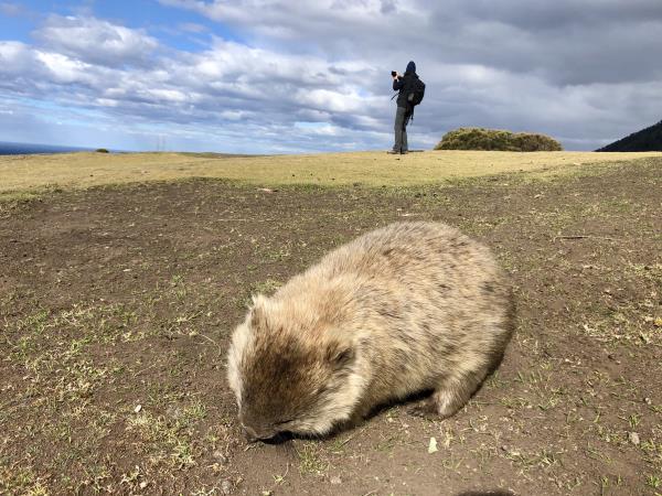 Tasmania walking holiday, self guided