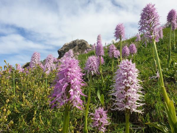 Northern Cyprus walking tour