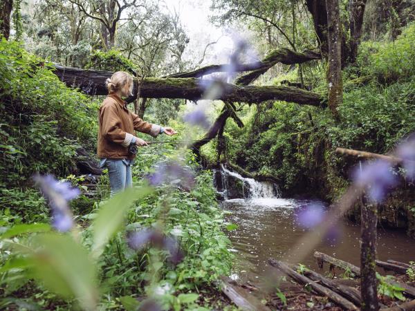 Kenya luxury safari holiday, 10 days