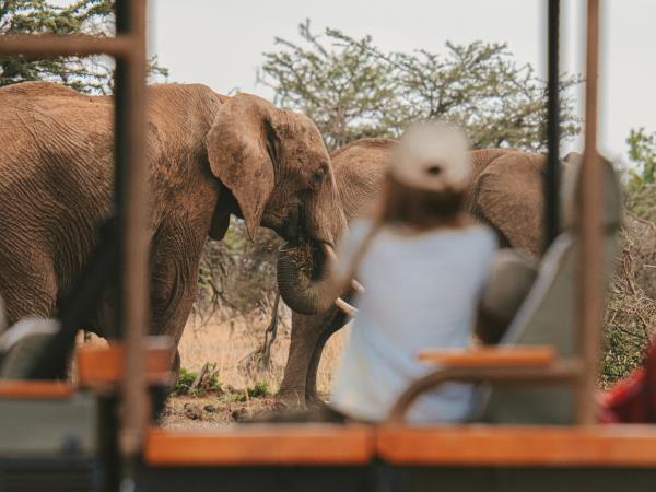 Kenya luxury safari holiday, 10 days