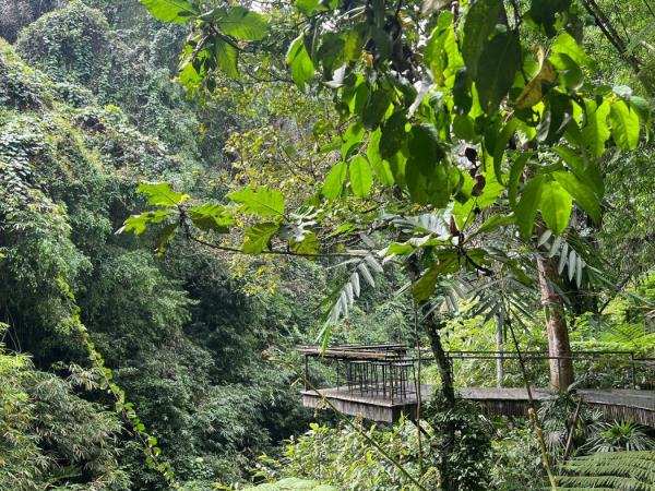 Bali off the beaten track tour